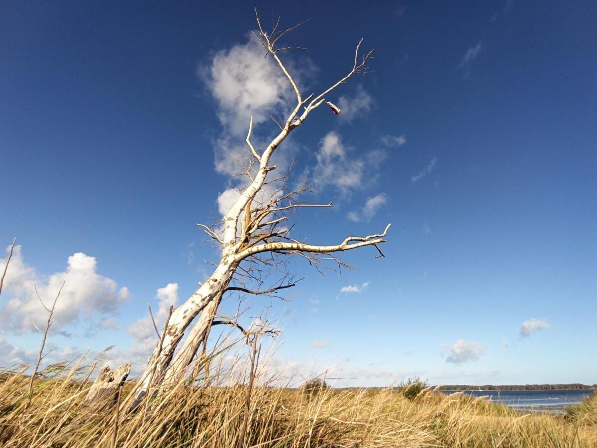 Ferienwohnung Strand25 Trassenheide Luaran gambar