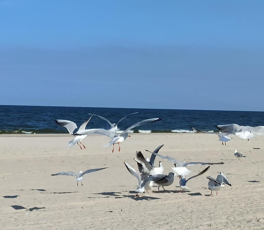 Ferienwohnung Strand25 Trassenheide Luaran gambar